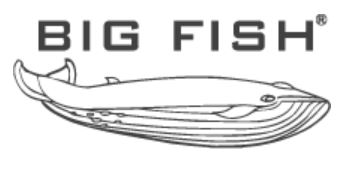 logo big fish